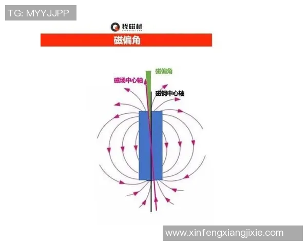 广州羽毛球队防守革新之路探索与实践的深度剖析