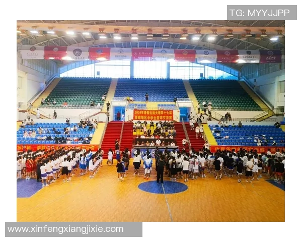 武汉篮球队比赛经验深度解析助力球队成长与发展