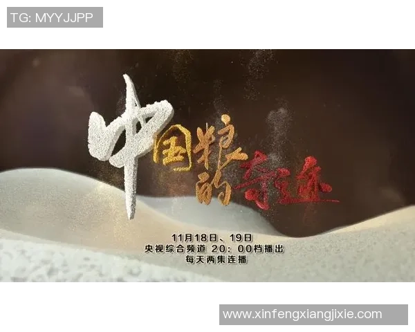 汉字足球明星的璀璨星空与他们背后的故事揭秘