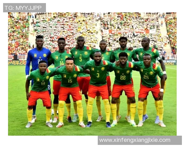 喀麦隆足球明星排行榜揭晓谁是最强球员的巅峰之选