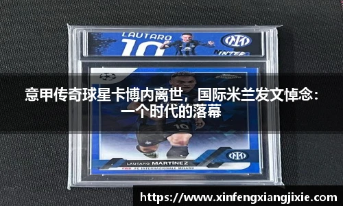 bibo必博官网