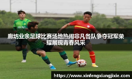 廊坊业余足球比赛场地热闹非凡各队争夺冠军荣耀展现青春风采