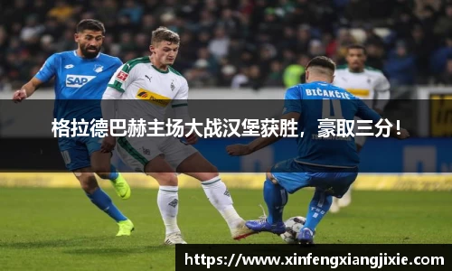 格拉德巴赫主场大战汉堡获胜，豪取三分！