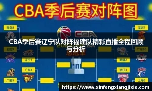 bibo体育