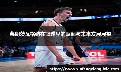 必博bibo