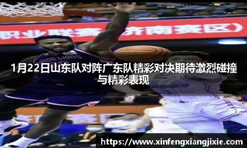 bibo必博官网