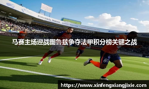 bibo体育