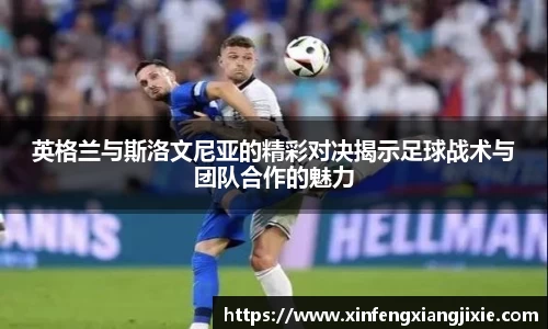 bibo必博官网