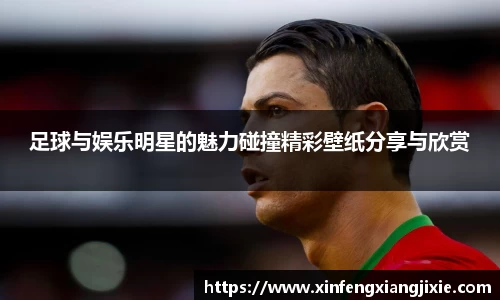 bibo必博官网