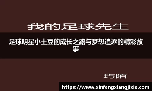 必博bibo