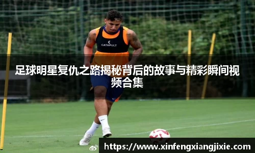 必博bibo