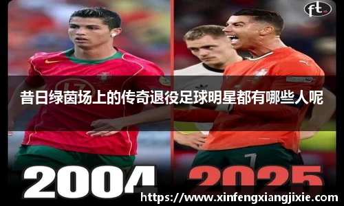昔日绿茵场上的传奇退役足球明星都有哪些人呢