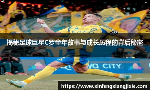 必博bibo官方网站